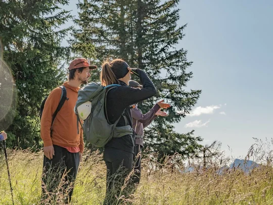 Hotel + Plan de Corones + Olang = mountain biking, climbing, tennis Group of hikers standing in a meadow with pine trees under clear sky