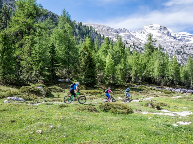 Hotel + Plan de Corones + Olang = mountain biking, climbing, tennis Three mountain bikers ride on a sunny forest trail in the mountains