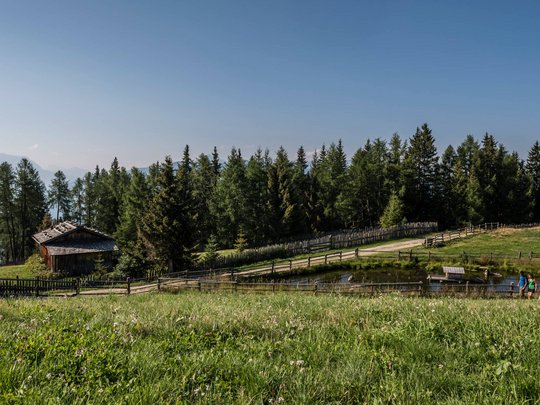 Novità dal nostro hotel al Plan de Corones Prato con stagno, casetta di legno e escursionisti vicino a foresta e montagne