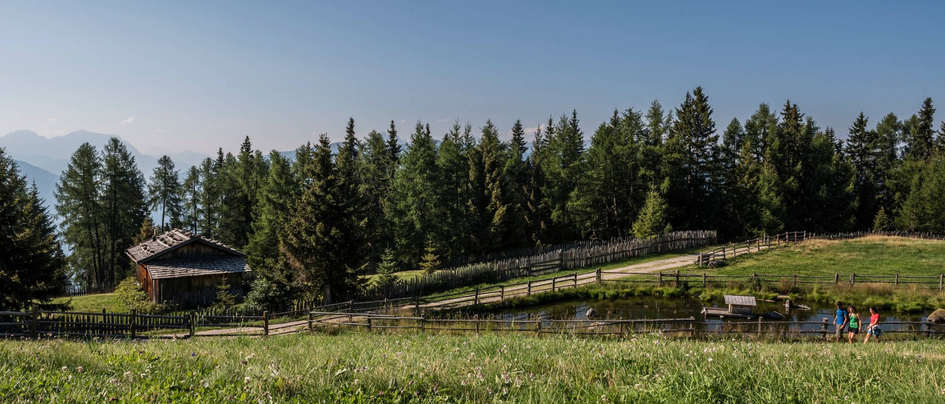 Eventi speciali a Plan de Corones Prato con stagno, casetta di legno e escursionisti vicino a foresta e montagne