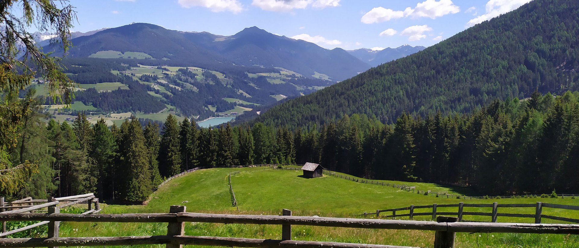 Angrillen im Pustertal Blick auf grüne Wiesen, Holzzaun und Berge mit Wald unter blauem Himmel