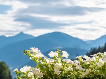 Recensioni sul nostro hotel a 4 stelle in Val Pusteria Recensioni sul nostro hotel a 4 stelle in Val Pusteria