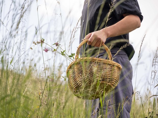 Sustainable 4-star hotel in the Dolomites Person holding a basket in a field of tall grass and flowers
