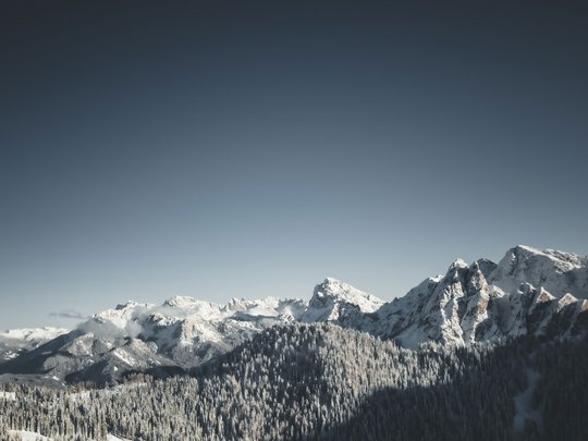 Unforgettable skiing holiday on Plan de Corones/Kronplatz Snow-covered mountain peaks and forest under clear sky