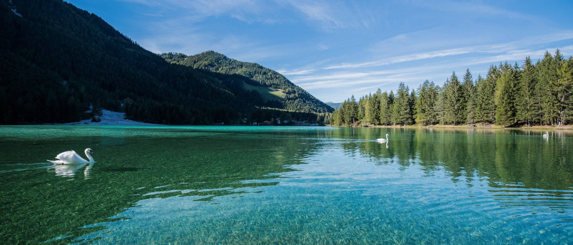 Il piacere di un tuffo nei dintorni di Valdaora Lago di montagna limpido con cigni e foresta sullo sfondo sotto cielo soleggiato