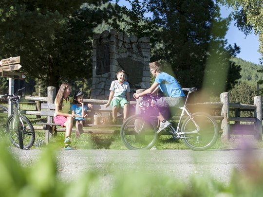 Hotel + Plan de Corones + Olang = mountain biking, climbing, tennis Family taking a break with bicycles in a green park